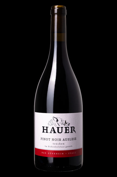 Pinot Noir Auslese 2020 QbA trocken Weingut Hauer aus der Pfalz
