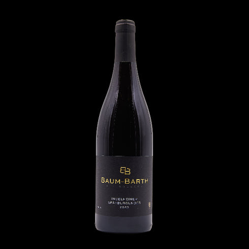 Spätburgunder Ingelheim 2024 trocken