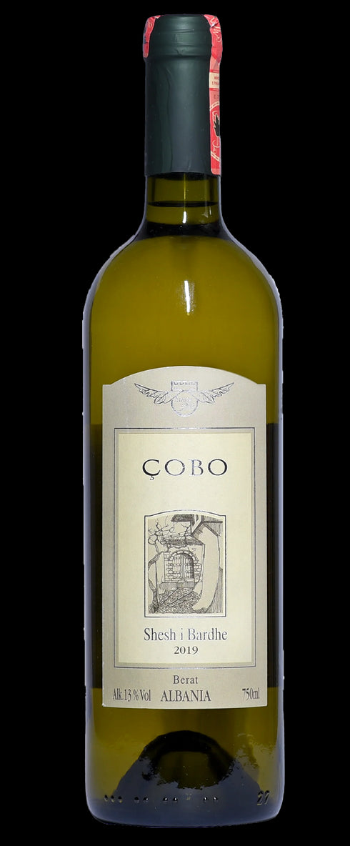 Shesh i Bardhe 2022 Cantina Cobo, Berat Albanien